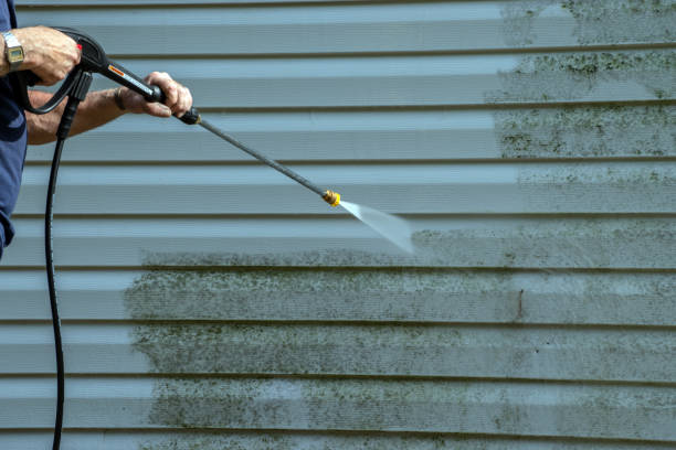 Best Sidewalk and Walkway Cleaning  in Seaville, NJ