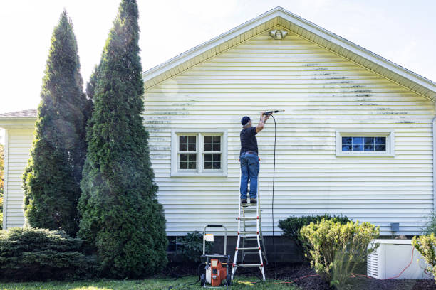 Best Roof Washing  in Seaville, NJ
