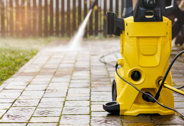 Animal Enclosure Cleaning in Seaville, NJ